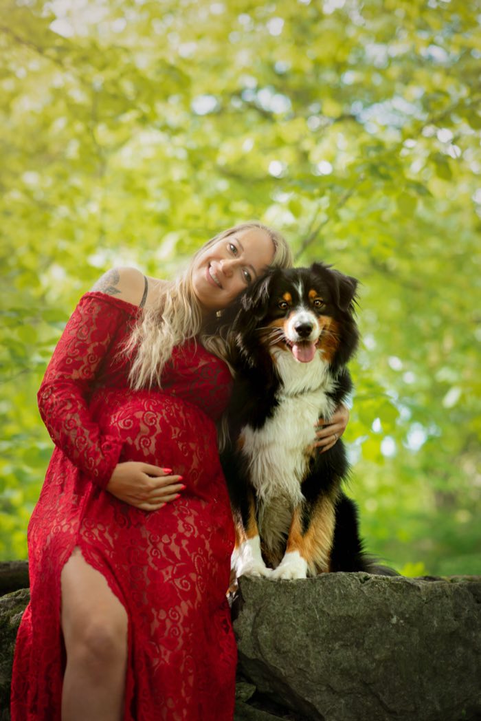Séance grossesse en robe rouge avec un bouvier bernois