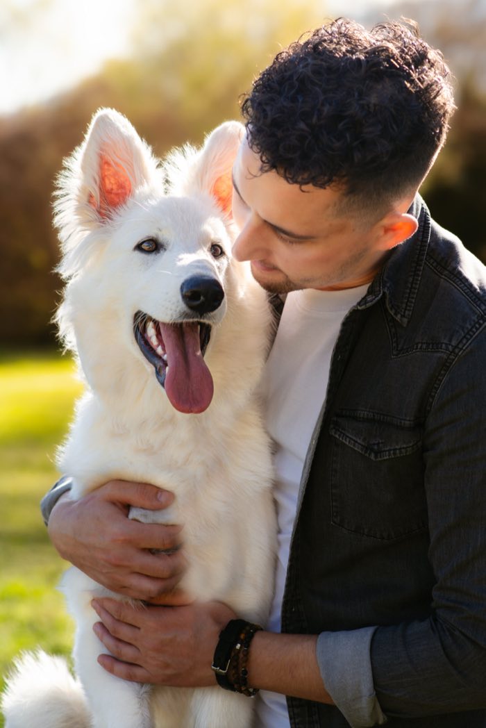 Instant de tendresse entre un maître et son berger blanc suisse